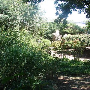 Asian walkthrough aviary