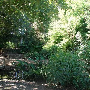 Asian walkthrough aviary