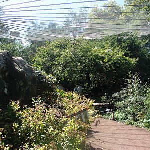Asian walkthrough aviary