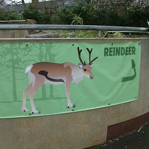 New Reindeer Signage at London, 17/03/12