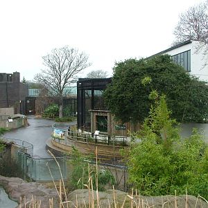 General View at London, 17/03/12