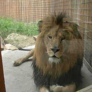 Living Treasures Moraine State Park