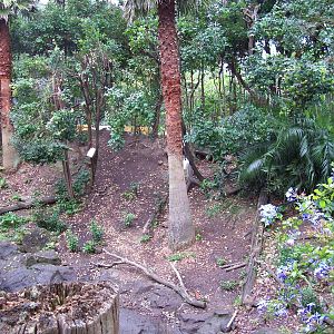 Bonnet Macaque/Otter Enclosure