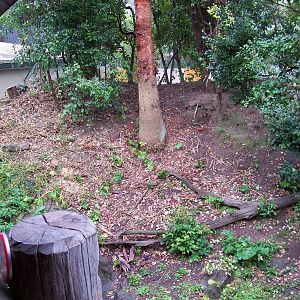 Bonnet Macaque/Otter Enclosure
