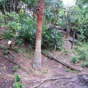 Bonnet Macaque/Otter Enclosure