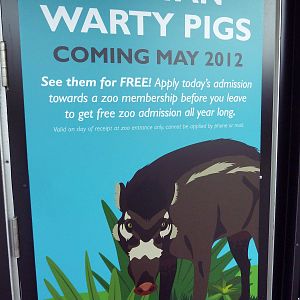 New Species For 2012