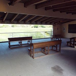 African Savanna - School Viewing Area