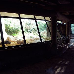 Gorilla Exhibit - Viewing Area