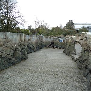 Humboldt Penguin Exhibit - Visitor Walkway