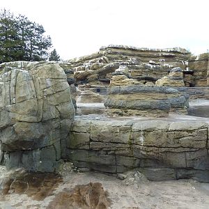 Humboldt Penguin Exhibit