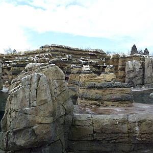 Humboldt Penguin Exhibit