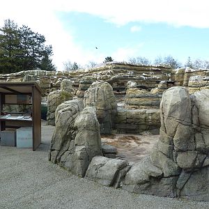 Humboldt Penguin Exhibit