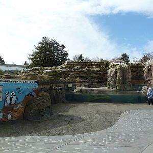 Humboldt Penguin Exhibit