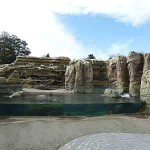 Humboldt Penguin Exhibit