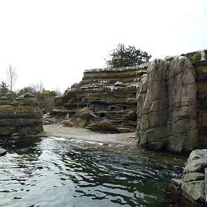 Humboldt Penguin Exhibit