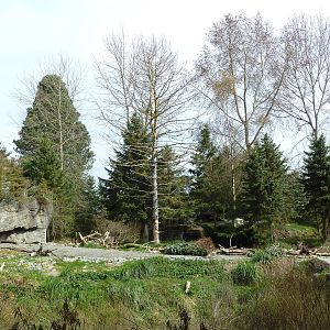 Grizzly Bear Exhibit