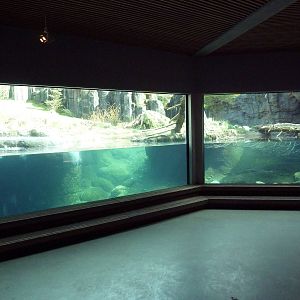 River Otter Exhibit
