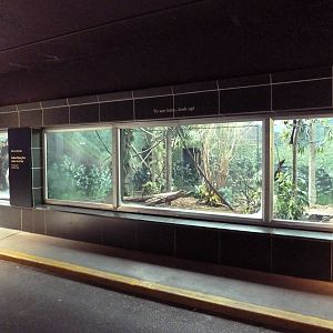 Adaptations Building Exhibits