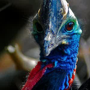 im_so_going_to_get_you_by_demonmoth-d4thfu0