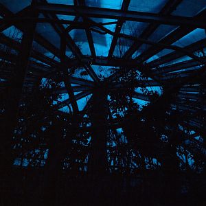 Papiliorama - Nocturama