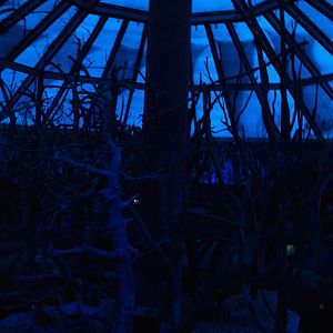 Papiliorama - Nocturama