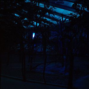 Papiliorama - Nocturama (Mixed exhibit)
