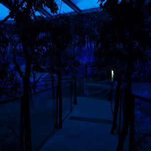 Papiliorama - Nocturama (Mixed exhibit)