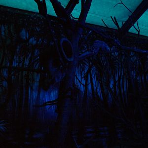 Papiliorama - Nocturama (Mixed exhibit)