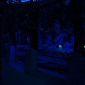 Papiliorama - Nocturama (Anaconda exhibit)