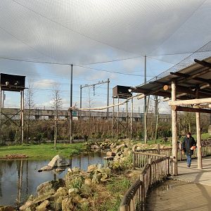 African Aviary