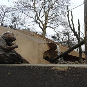 Japanese Macaque Exhibit