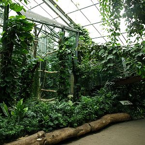 Interior of Great Ape complex