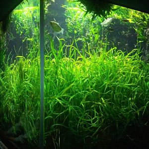 World Rivers-Mekong River