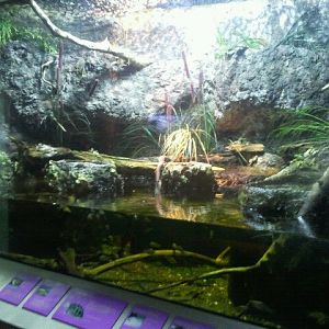 Shore Gallery-Florida Marsh display