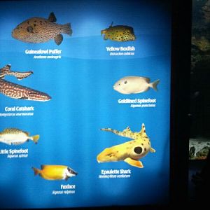 Sign in the Dangerous and Deadly display