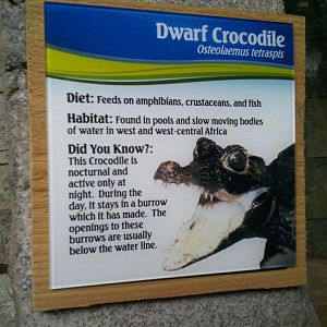 Sign in the Hidden Treasures of the Rainforest Islands