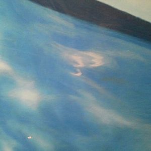 Mar. 2012-Hidden 33 on a Great White Shark Mural