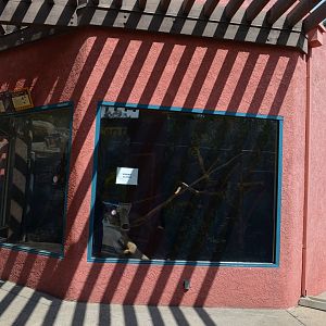 Awaiting New Residents