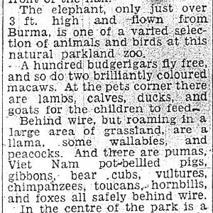 Dumbo at Zoo Opening