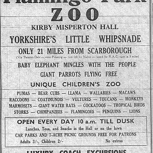 Opening of Lion Paddock