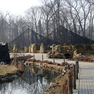 In the distance paddock of prairie dogs