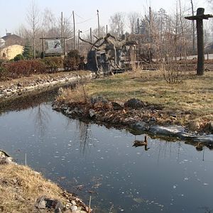 Paddock of the maned wolf