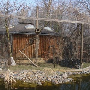 Cage of smaller monkeys