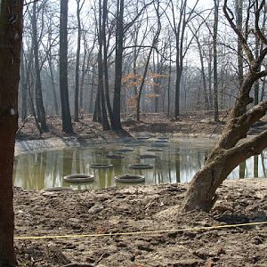 Structure of new paddocks