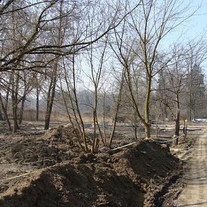 Structure of new paddocks