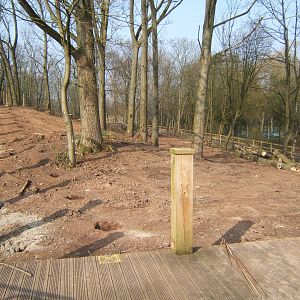 View of work on the new Iberian Wolf enclosure