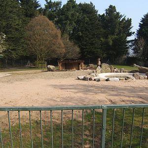 View of Giant Anteater enclosure