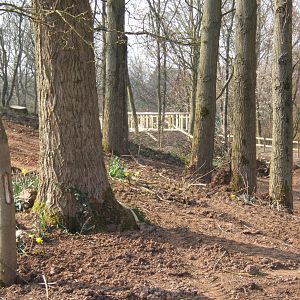 View showing the work on the house for the Iberian Wolves in the distance