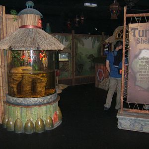 View of Turtle Shelter temporary exhibit for 2012