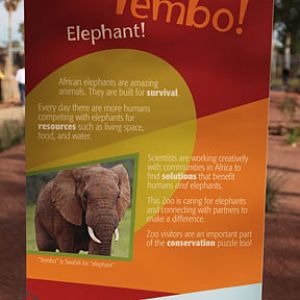 Expedition Tanzania - March 24, 2012